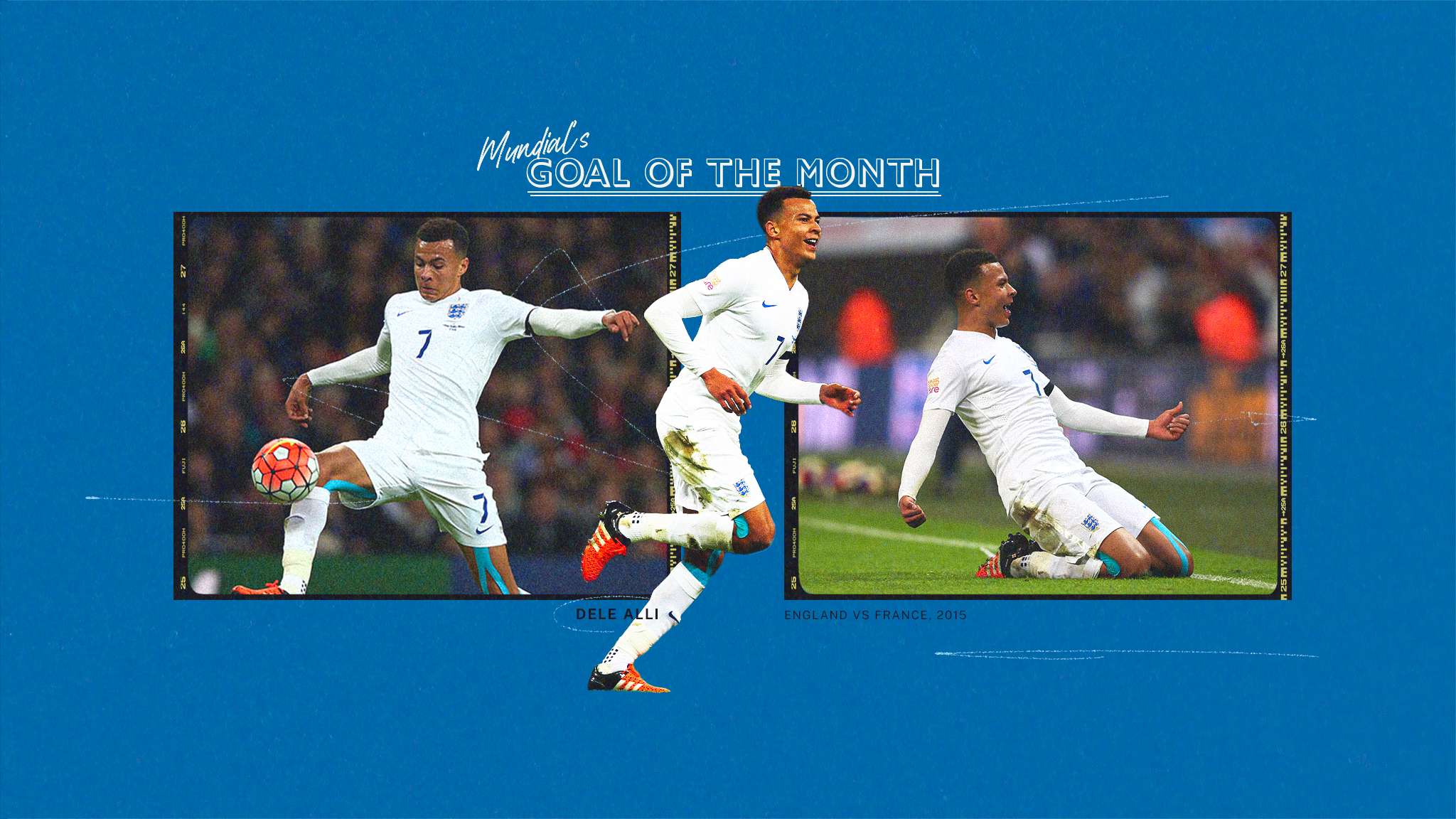 利提供了强 利提供了强